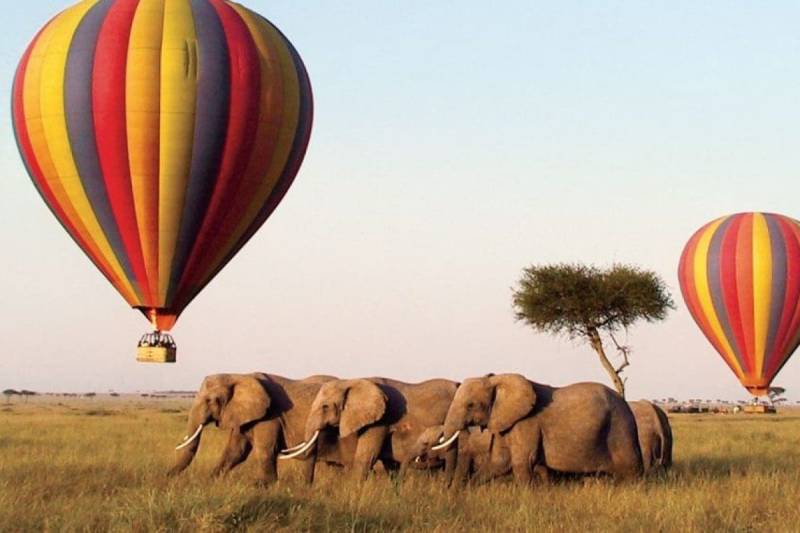 One Day Hot Air Balloon In Masai Mara Tour Image