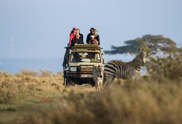 3 Days 2 Nights Saltlick Private Safari From Mombasa Image