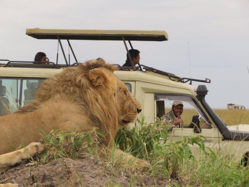 6 Nights 7 Days Masai Mara Safari and Diani Beach Combo Image