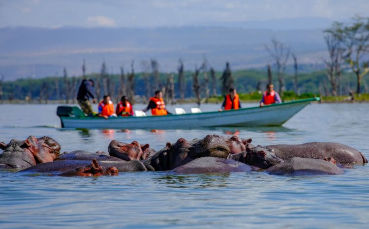 3 Days 2 Nights Naivasha & Hells Gate Safari