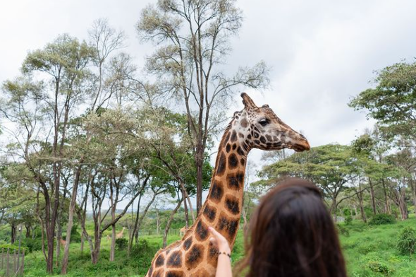5 Days, 4 Nights Nairobi City Tour