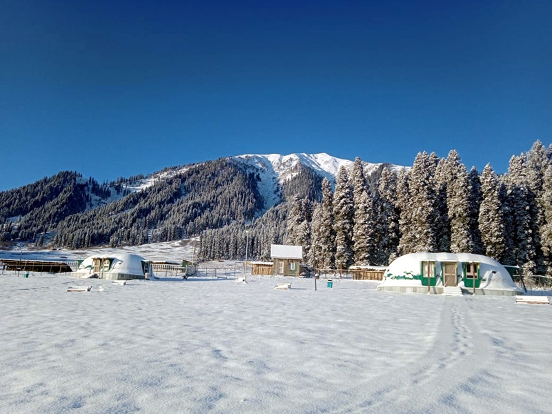 5 Day 4 Nights Kashmir Tour