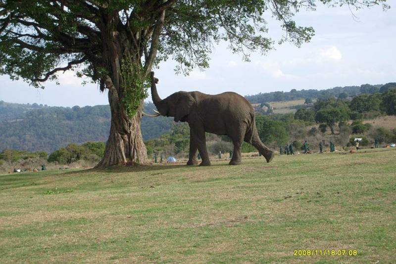 🦁 3-Day Luxury Safari – Tanzania Image