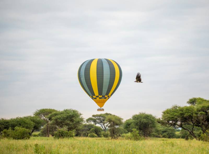 🎈🦁 5-Day Luxury Safari with Balloon Ride – Northern Tanzania Image