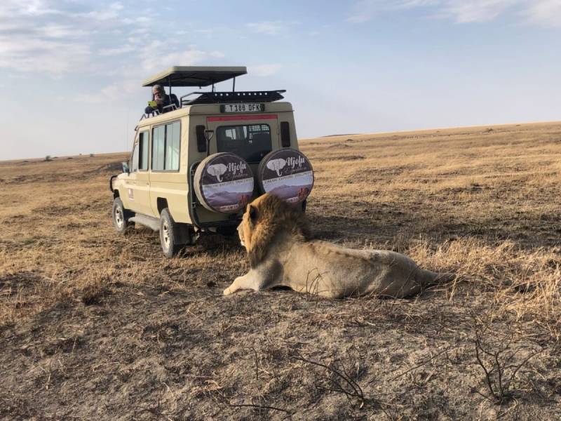 6 Days Endless Plains Luxury Safari Tour