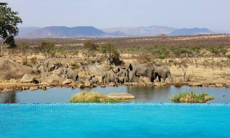 8 Days Tanzania - Private Luxury Safari Tour