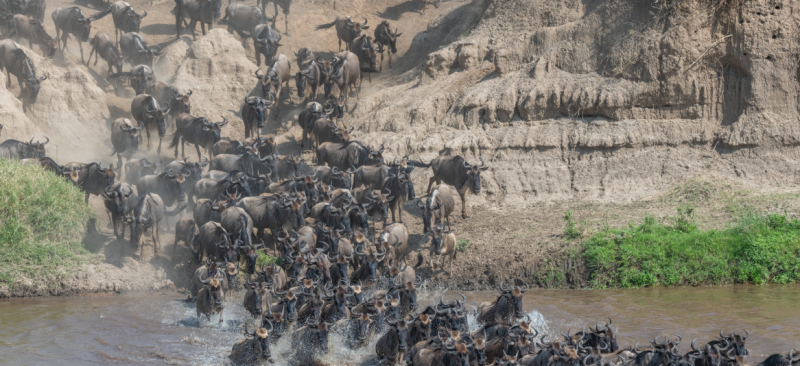 10 Days Great Migration Sightseeing Luxury Safari Tour Image