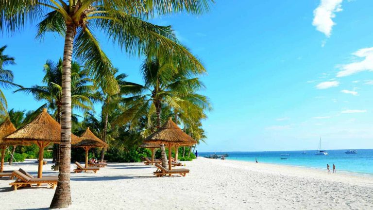 15 Days Tanzania Luxury Safari - Zanzibar Beach Escape Tour