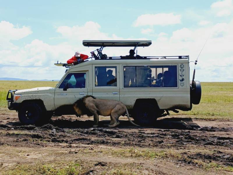 3 Days 2 Nights Maasai Mara Tour Image