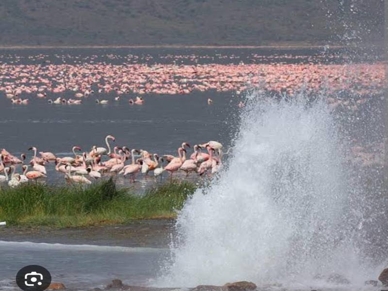 A Daytrip to Lake Bogoria and Lake Baringo Image