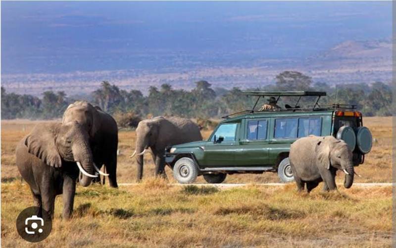 A Daytrip to Aberdares National Park Image