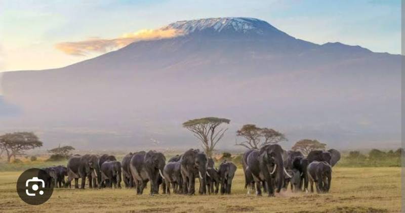 3 Days 2 Nights Amboseli Itinerary Image