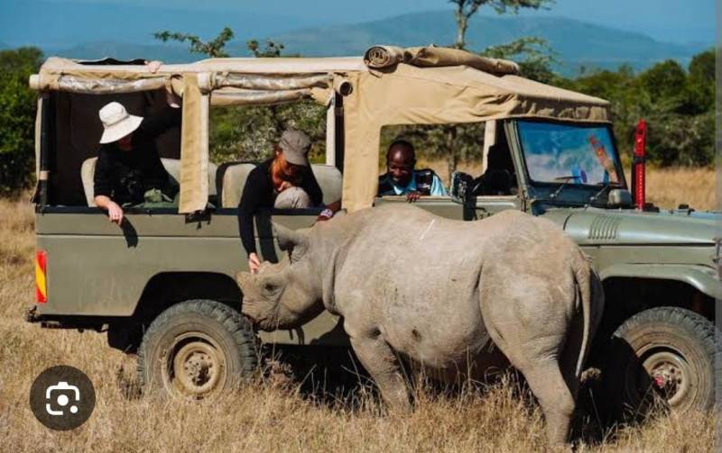 9 DAYS 8 NIGHTS  KENYA ITINERARY TREETOPS-NANYUKI-SAMBURU-NAKURU-MAASAI MARA-NAIROBI Image