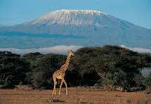 3 DAYS 2 NIGHTS AMBOSELI BY FLIGHT Image