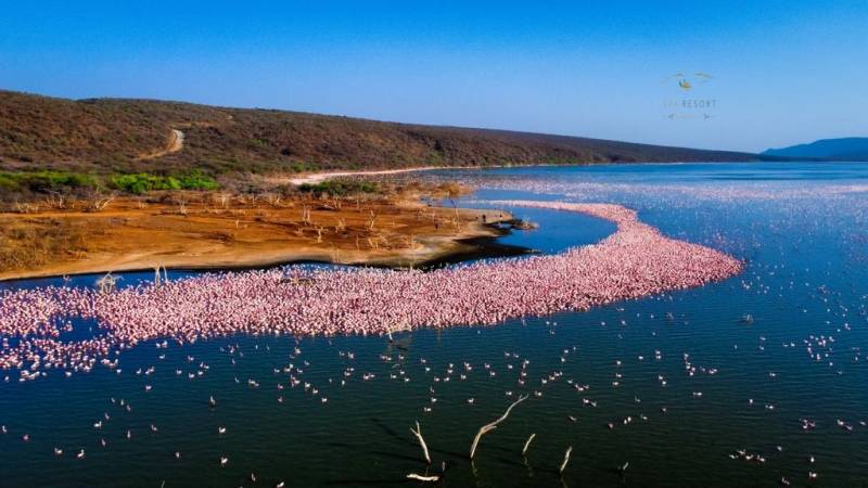 15  Days of Adventure, Wildlife and Community Work