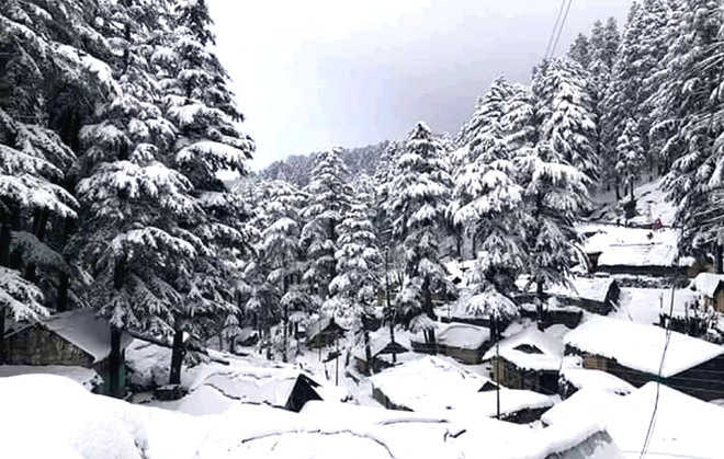 Pathankot - Dalhousie - Dharamshala - Palampur - Pathankot Tour 1N 2D