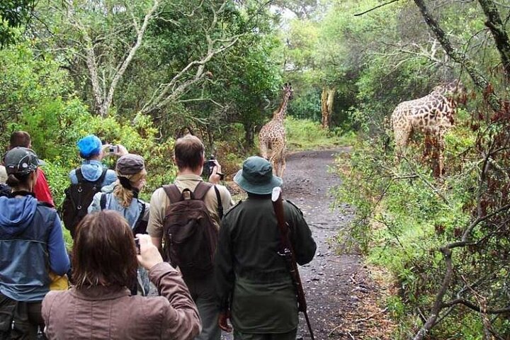 4-Day Group Tour To The Parks Close To Arusha Image