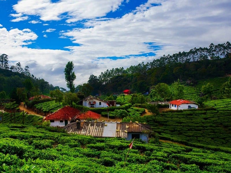 5 Days Munnar - Thekkady - Madurai Tour Image