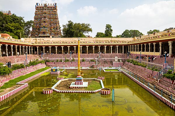 7D Cochin - Munnar - Madurai - Rameswaram Tour Image