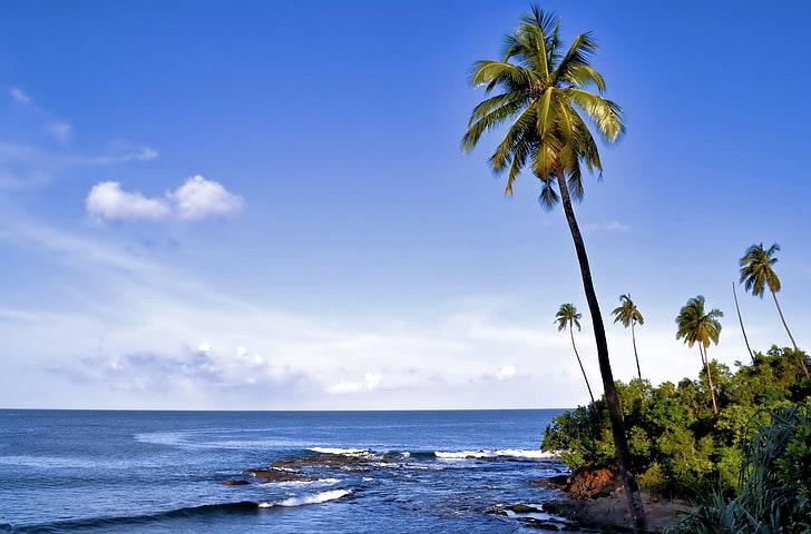 7 Night Port Blair - Havelock - Neil Island Tour Package