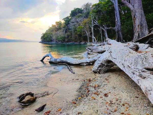 7 Night Port Blair - Havelock - Neil Island Tour With Chidiya Tapu Beach