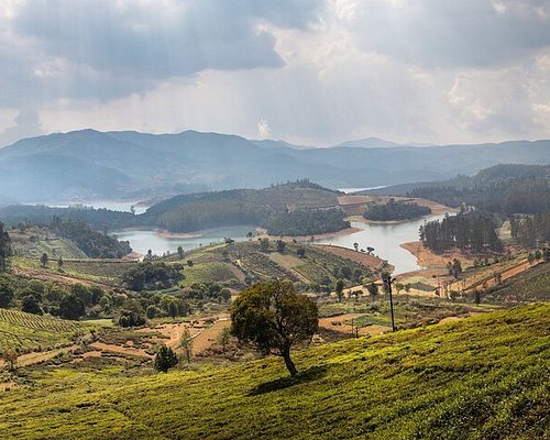 6 Night Bangalore - Mysore - Ooty Tour Package Image
