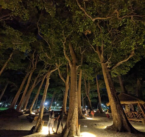 4 Days - 3 Nights Port Blair - Neil Tour