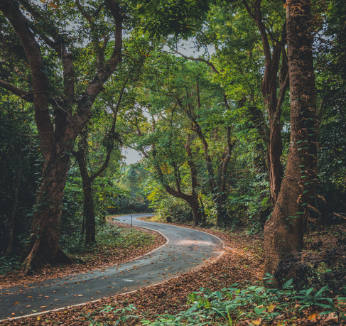 7 Days - 6 Nights Port Blair - Havelock Tour