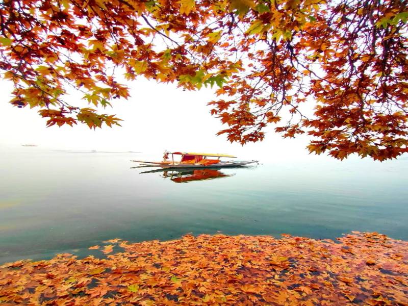 Stunning Kashmir Holiday Experience Image