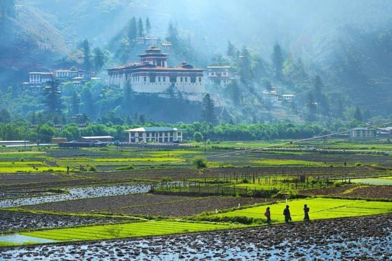 A Week In Bhutan - Drive In & Drive Out