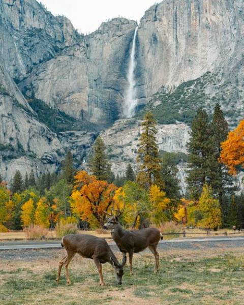 Golden West Coast 2025