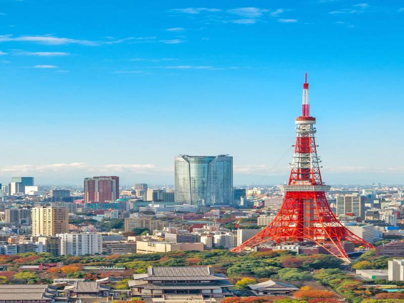 Romantic Japan in Cherry Blossom