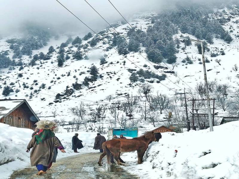 Picturesque Himachal Pradesh