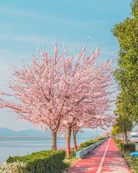 Beautiful Korea at Autumn