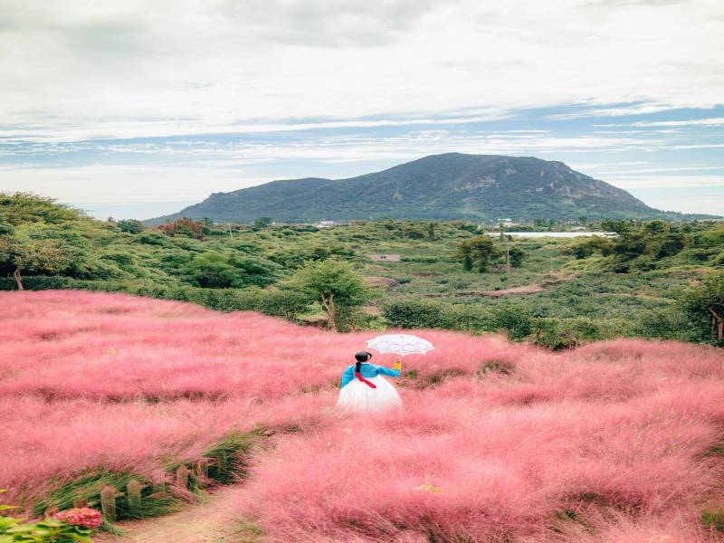 Beautiful Korea at Autumn