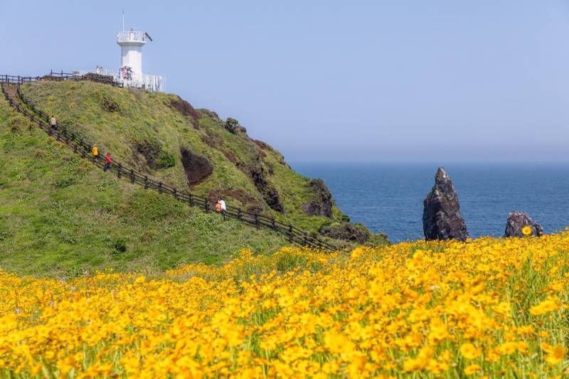 Beautiful Korea at Autumn