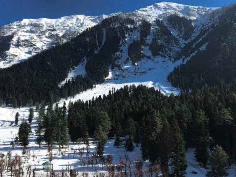 5 days 4 nights Kashmir Tour