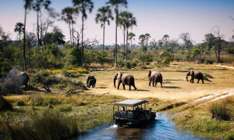 11-Day Northern Parks Adventure & Zanzibar Holiday Tour Image