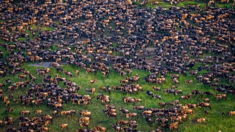 12 Days Tanzania Family Safaris