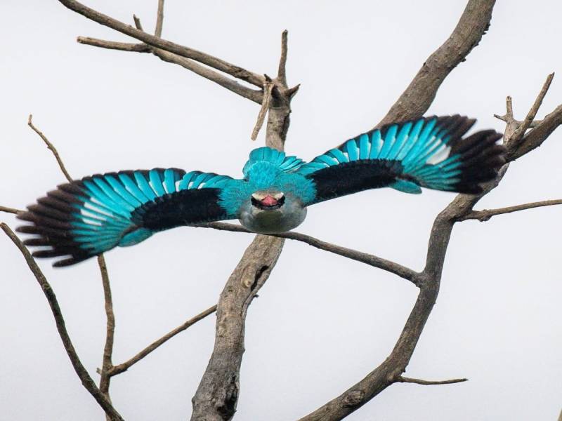 12 Days Tanzania Family Safaris