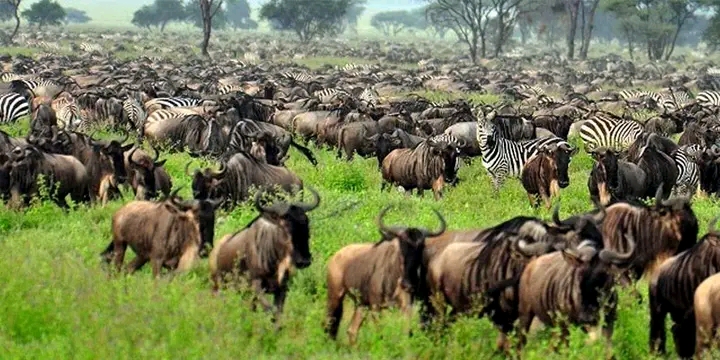 9-Day Botswanas Wilderness Odyssey From Delta to Falls