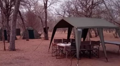 Savannah Expedition: 6-Day Journey from Maun to Kasane