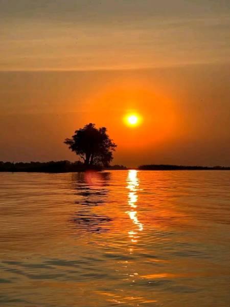 Savannah Expedition: 6-Day Journey from Maun to Kasane