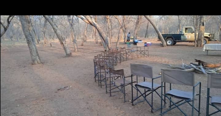 Savannah Expedition: 6-Day Journey from Maun to Kasane