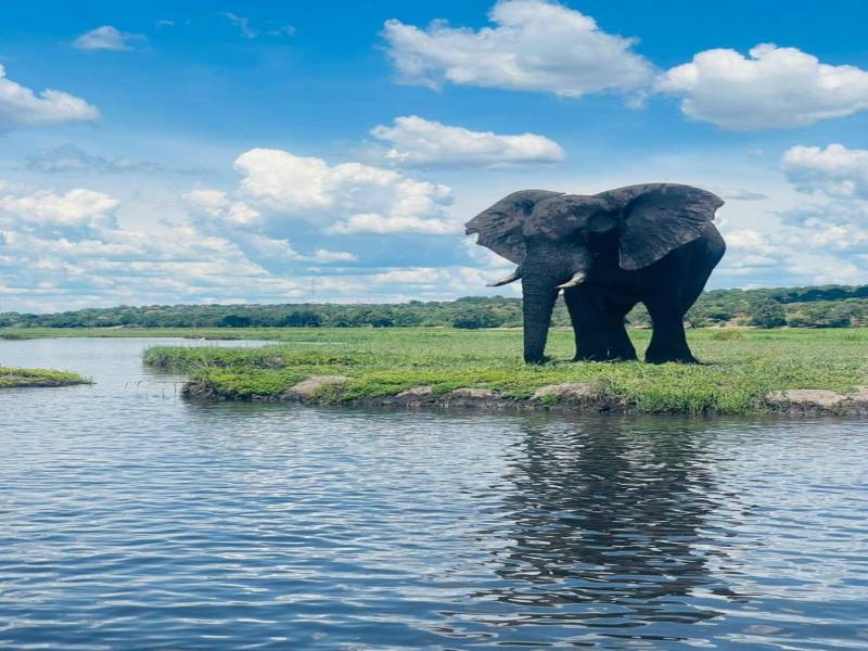 Savannah Expedition: 6-Day Journey from Maun to Kasane