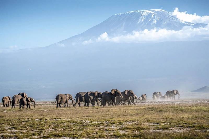 7day- 6 Night Kilimanjaro Hike-marangu Route