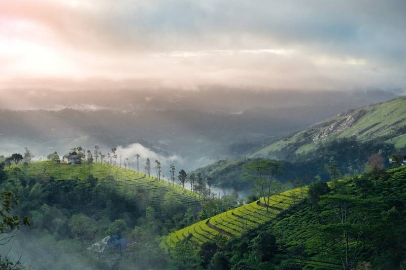 Kerala Prime Attractions In 5 Days Munnar - Thekkady - Alleppey