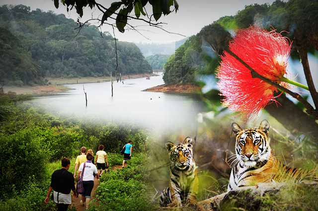 Kerala Most Popular In 6 Days Athirapally - Munnar - Thekkady - Alleppey Tour