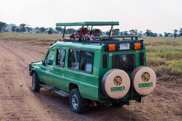 4 Days 3 Nights Tarangire Serengeti Ngorongoro & Manyara Safari Tour Image