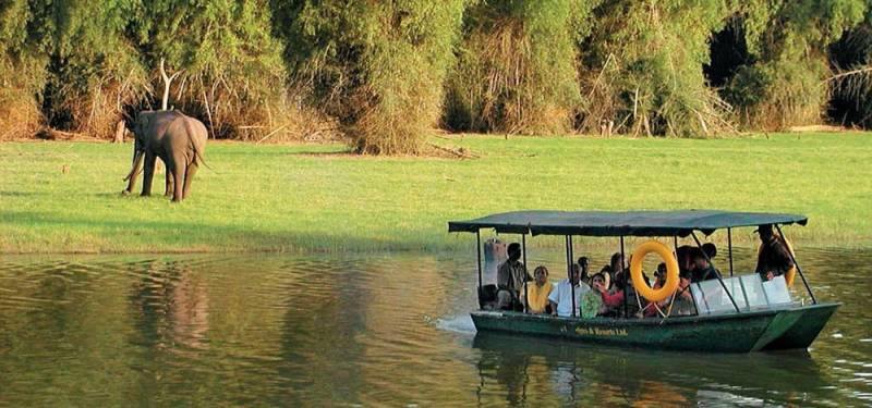 Mysore - Coorg - Kabini 4N 5D Tour